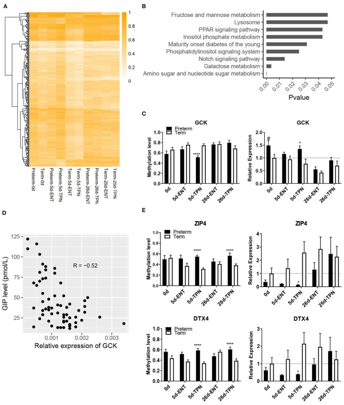 Exenatide ameliorates experimental non-alcoholic fatty liver in rats via suppression of toll-like receptor 4/NFκB signaling: Comparison to metformin